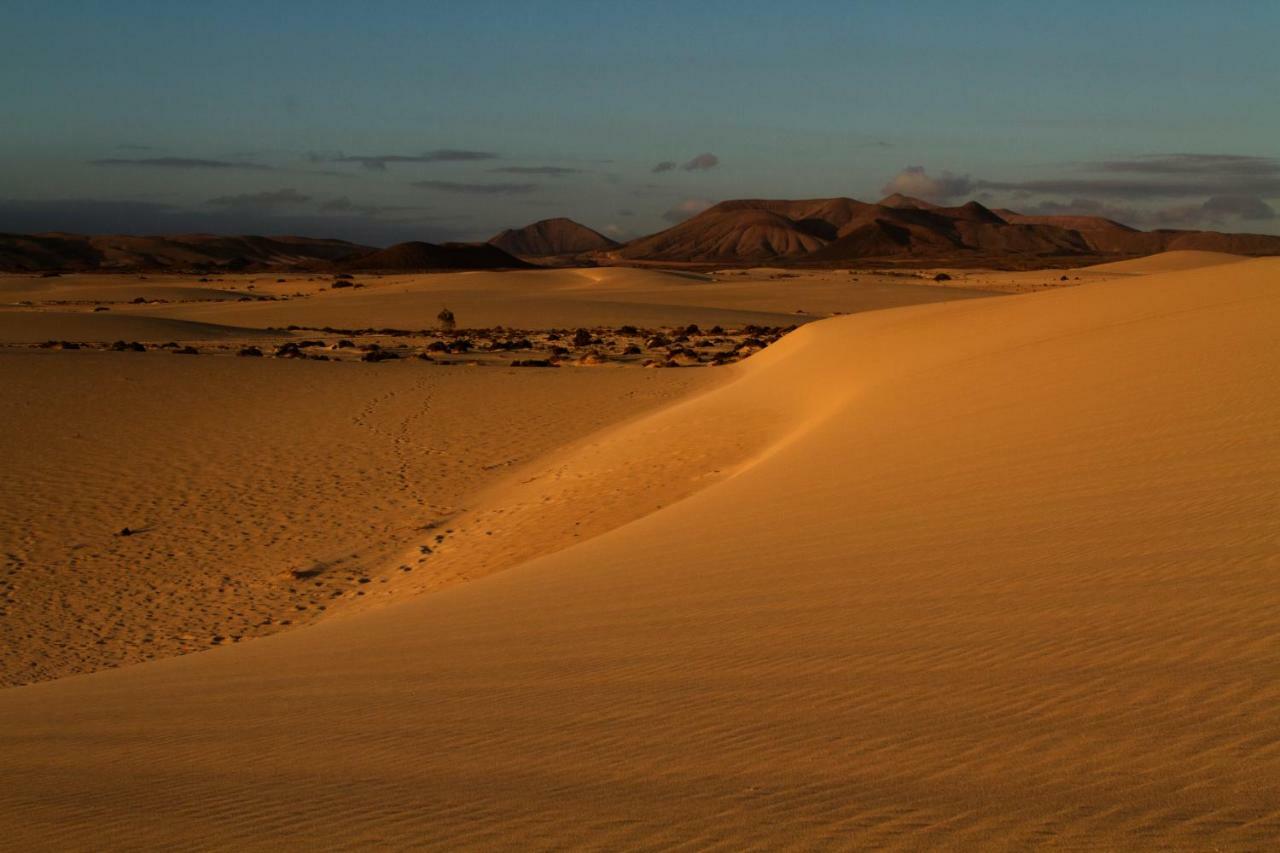 El Cotillo المظهر الخارجي الصورة